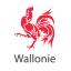logo_wallonie.jpg